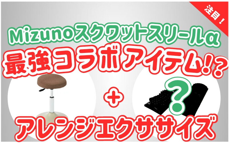 MIZUNO ミズノ スクワットスリールα アルファ 筋トレ 気軽 健康